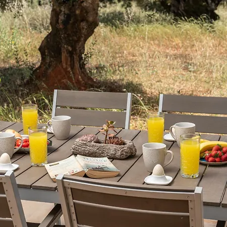 Elia Kefalonia By Olea Argostoli (Kefalonia)