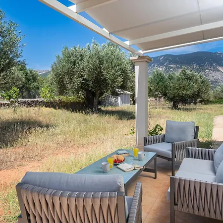 Elia Kefalonia By Olea Argostoli (Kefalonia)