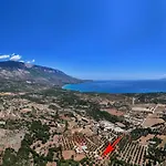 Elia Kefalonia By Olea Βίλα *
