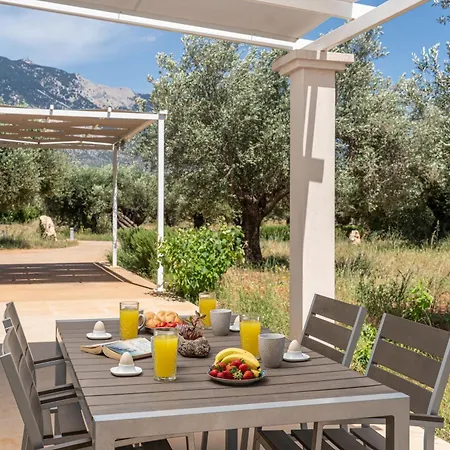 Elia Kefalonia By Olea * Argostoli (Kefalonia)