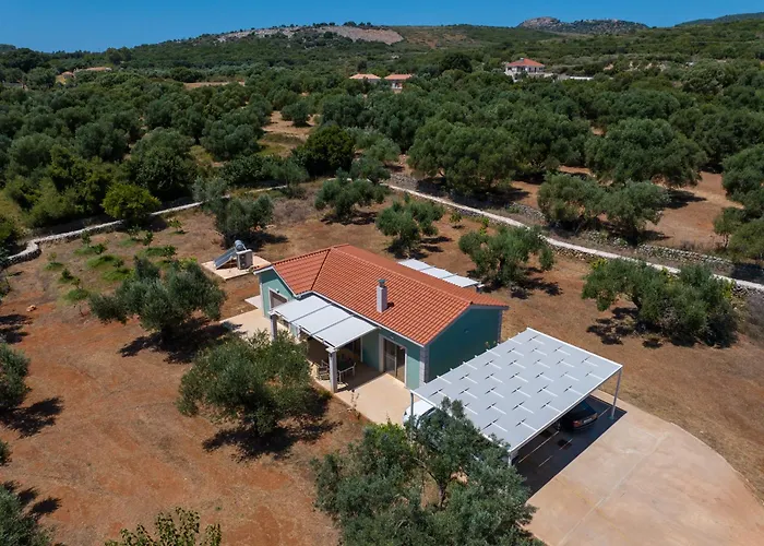 Elia Kefalonia By Olea Argostoli (Kefalonia)