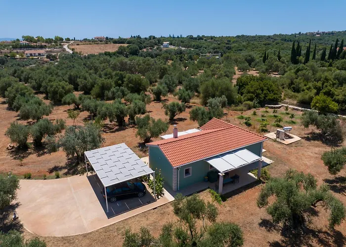 Elia Kefalonia By Olea * Argostoli (Kefalonia)