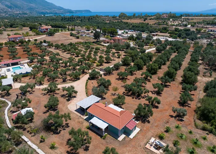 Elia Kefalonia By Olea Argostoli (Kefalonia)