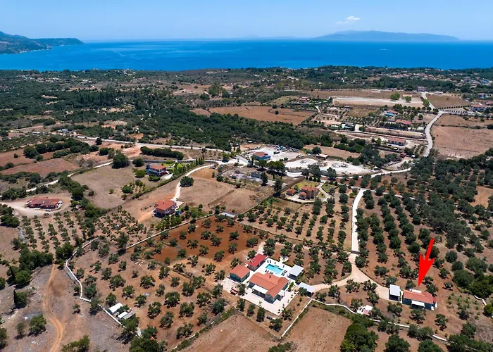 Elia Kefalonia By Olea Argostoli (Kefalonia)