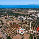 Elia Kefalonia By Olea Argostoli (Kefalonia)