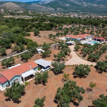 Elia Kefalonia By Olea