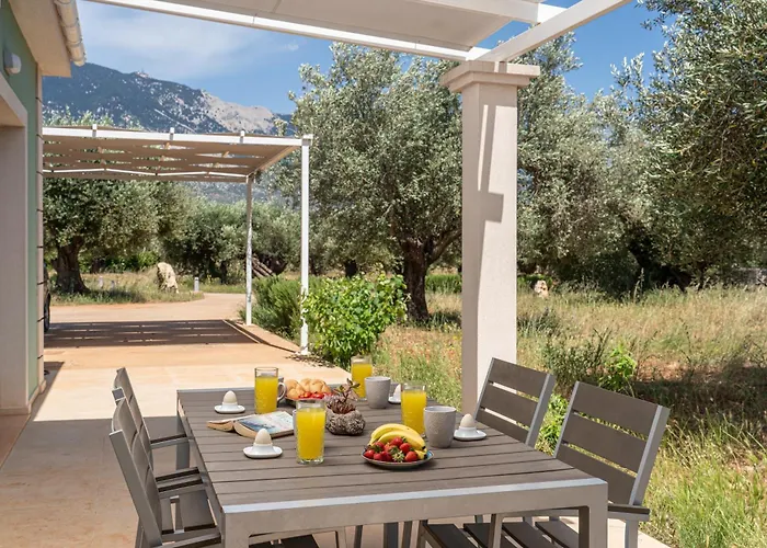 Elia Kefalonia By Olea * Argostoli (Kefalonia)